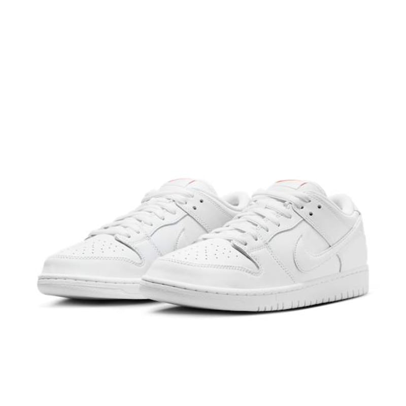 Nike SB Dunk Low Pro FJ1674-100 05