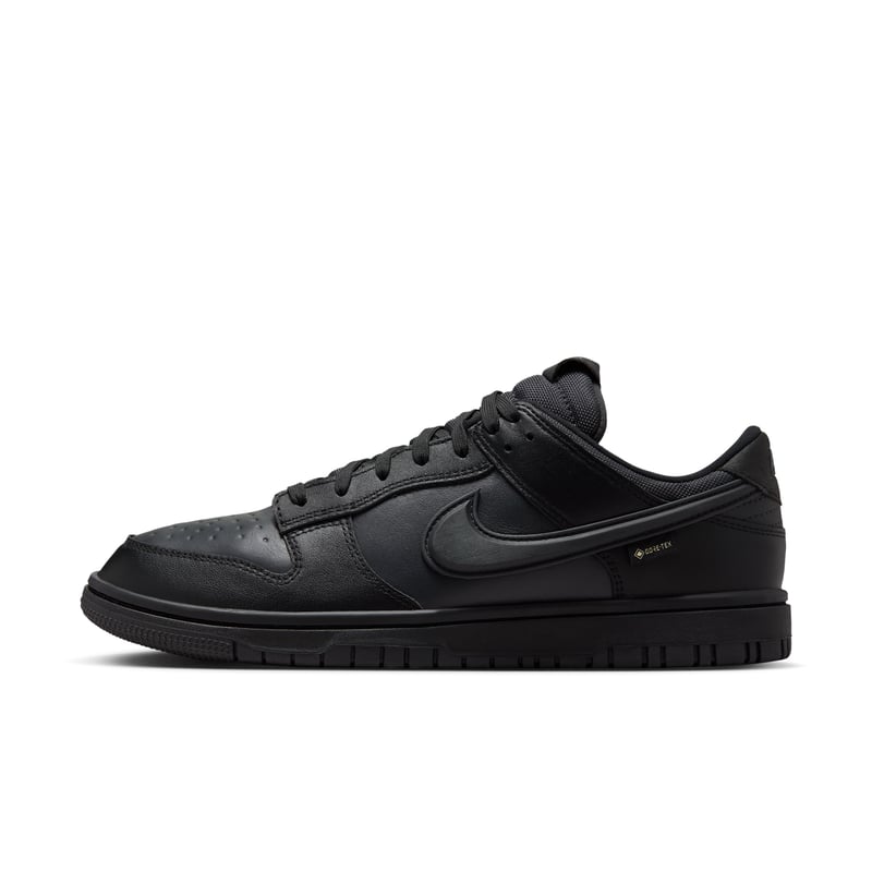 Nike Dunk Low GORE-TEX HQ2053-001 01