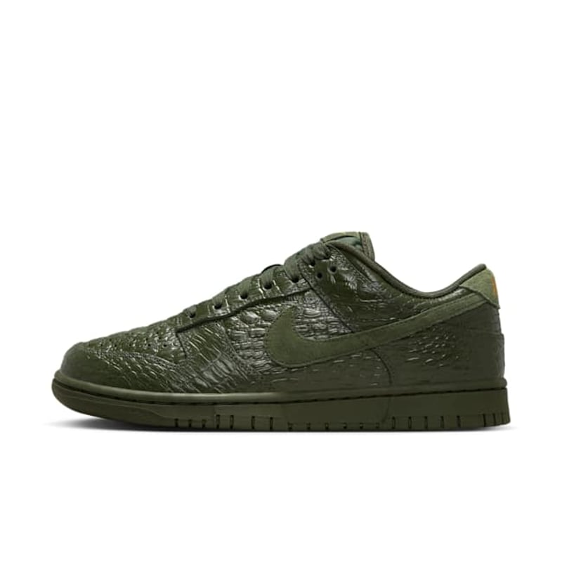 Nike Dunk Low HV4388-300 01