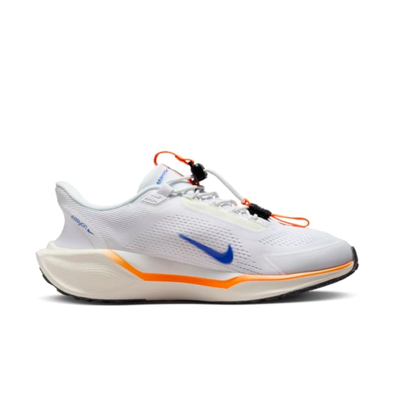 Nike Pegasus EasyOn HM0375-900 04