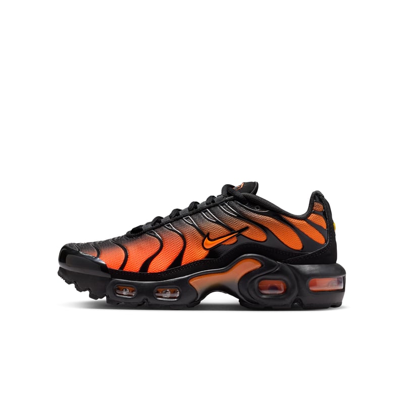 Nike Air Max Plus CD0609-041 01