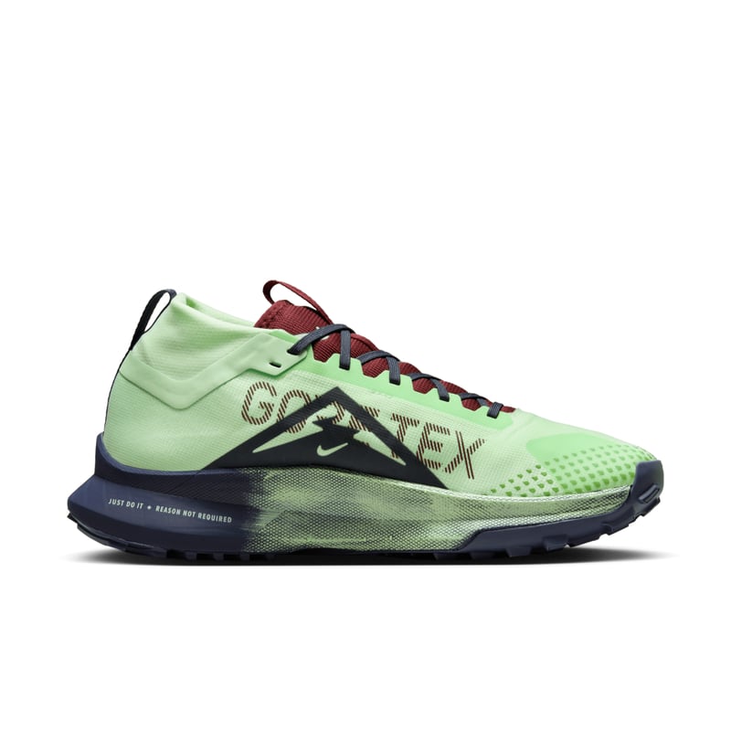 Nike Pegasus Trail 4 GORE-TEX DJ7926-303 03