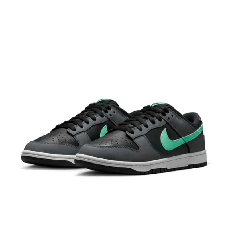 Nike Dunk Low Retro FB3359-001 05