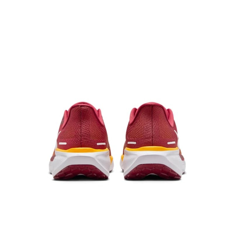 Nike Pegasus 41 FZ5150-600 06