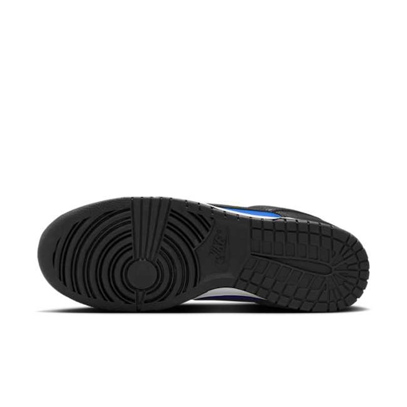 Nike Dunk Low HF5441-401 02