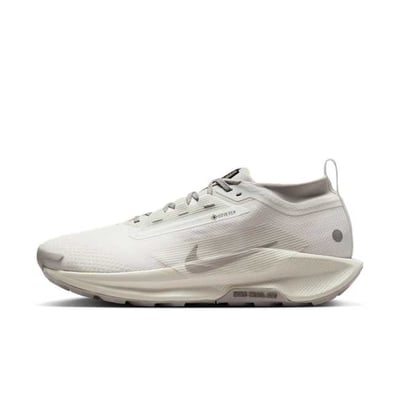 Nike Pegasus Trail 5 GORE-TEX SP HQ7494-100
