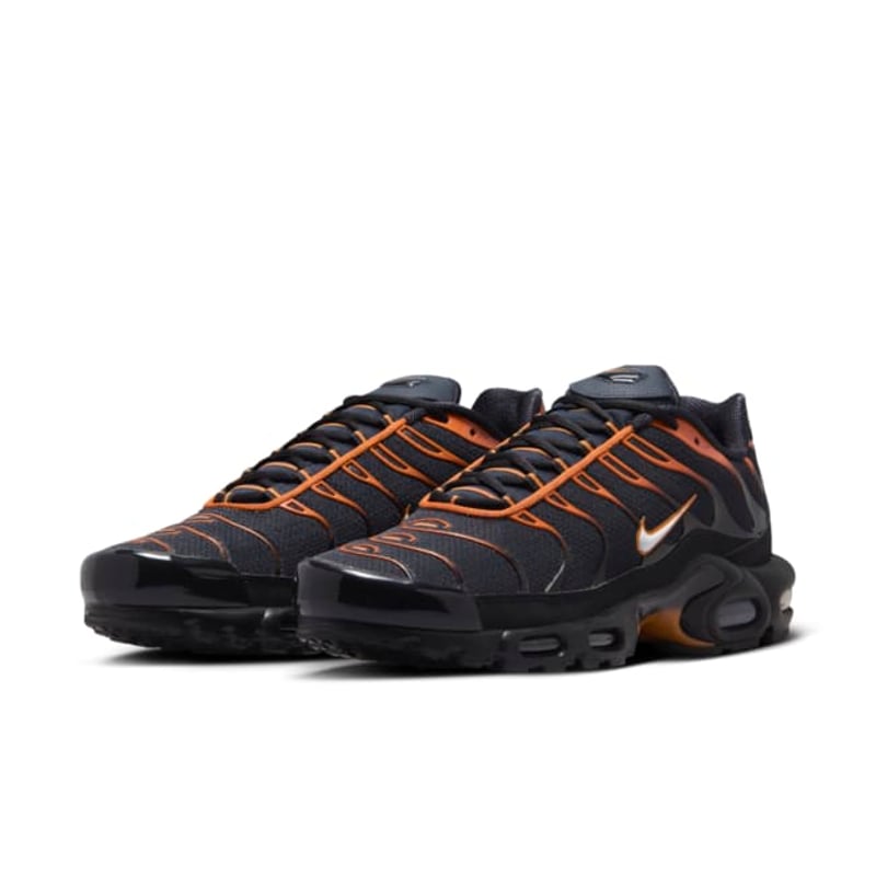 Nike Air Max Plus FN6949-400 05