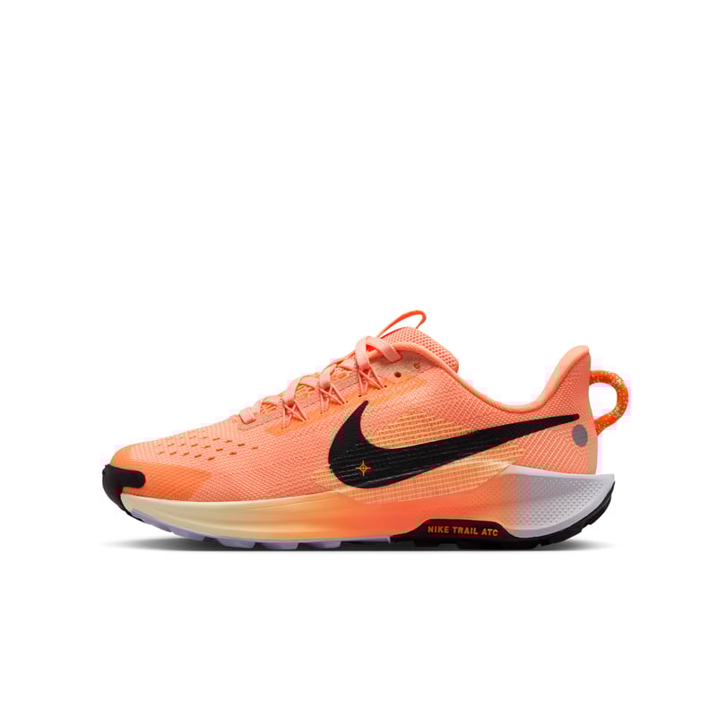 Nike Pegasus Trail 5 FV5638-800 01