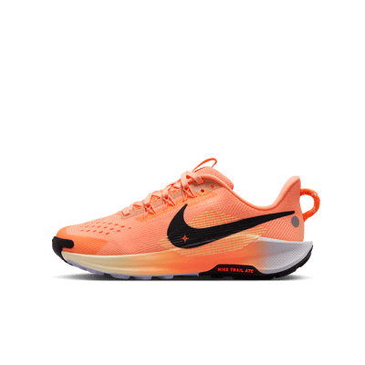 Nike Pegasus Trail 5 FV5638-800