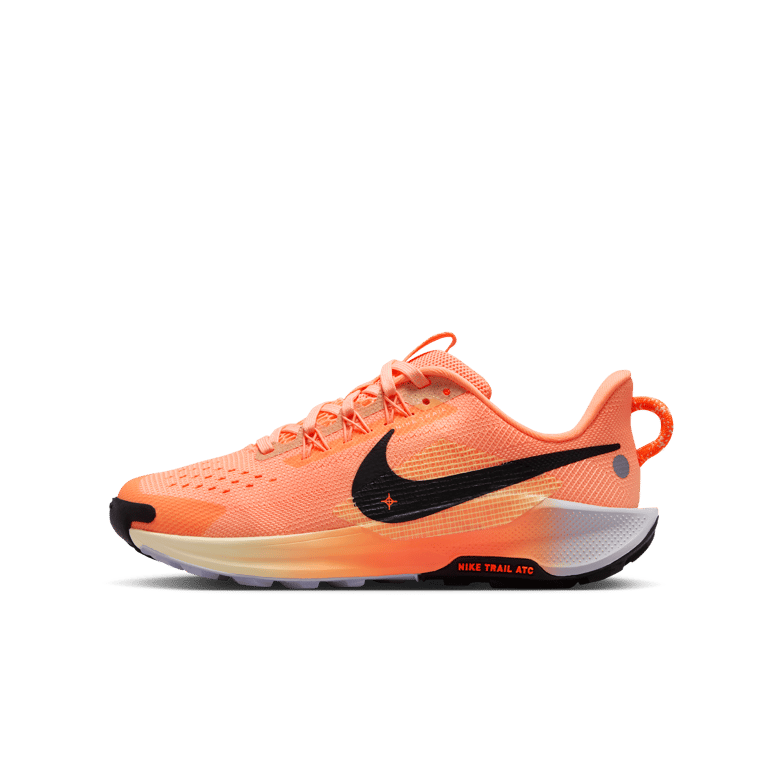 Nike Pegasus Trail 5
