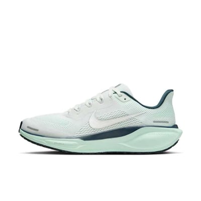 Nike Pegasus 41 FD2723-405