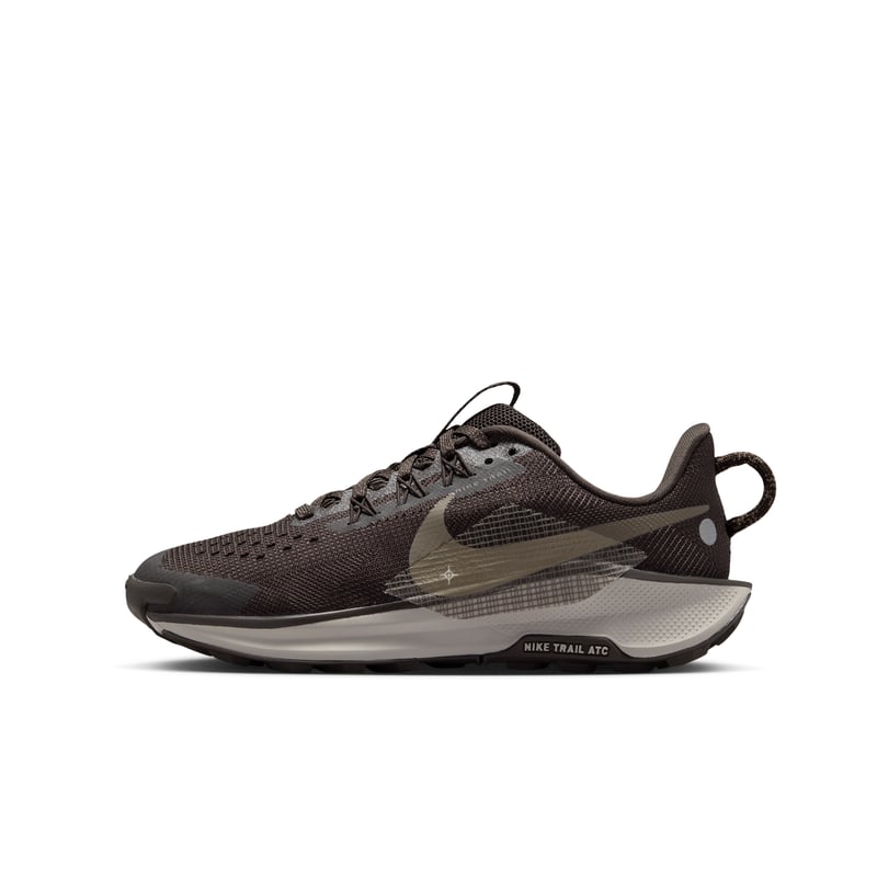 Nike Pegasus Trail 5 FV5638-201 01