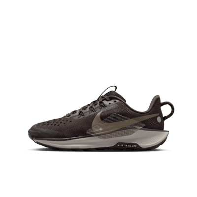 Nike Pegasus Trail 5 FV5638-201