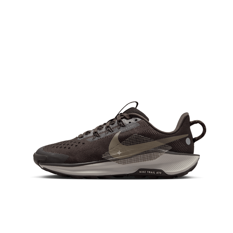 Nike Pegasus Trail 5