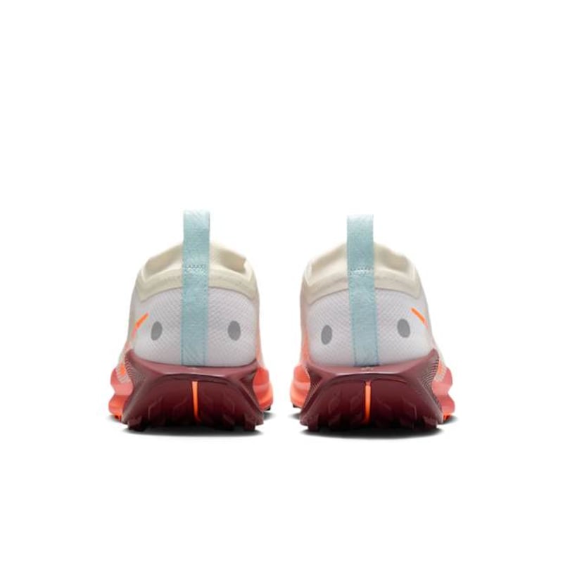 Nike Pegasus Trail 5 GORE-TEX FQ0912-104 06