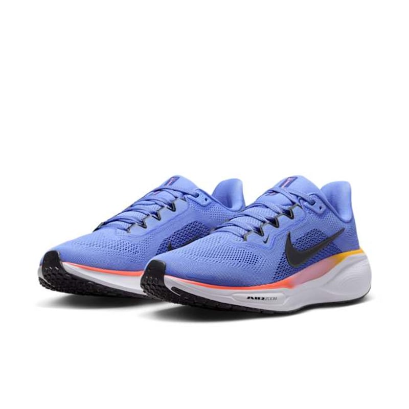 Nike Pegasus 41 FD2723-402 05