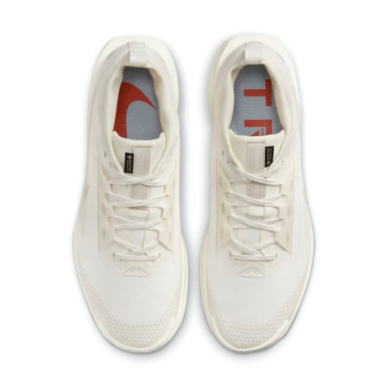 Nike Pegasus Trail 5 GORE-TEX FQ0908-100 04