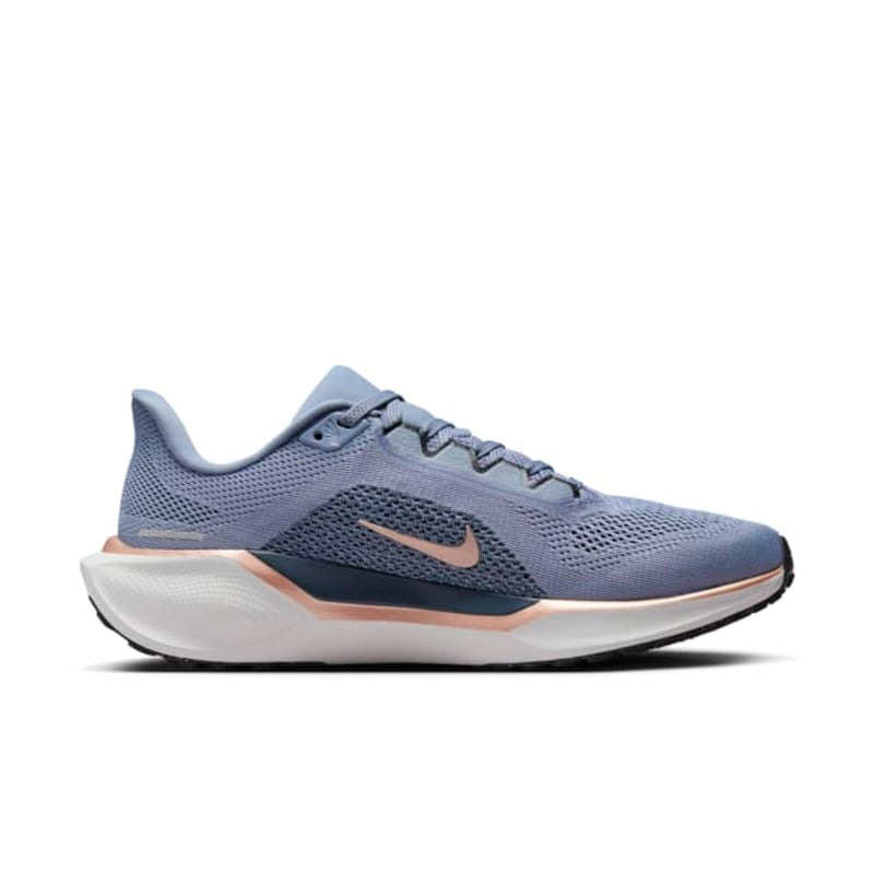 Nike Pegasus 41 FD2723-403 03