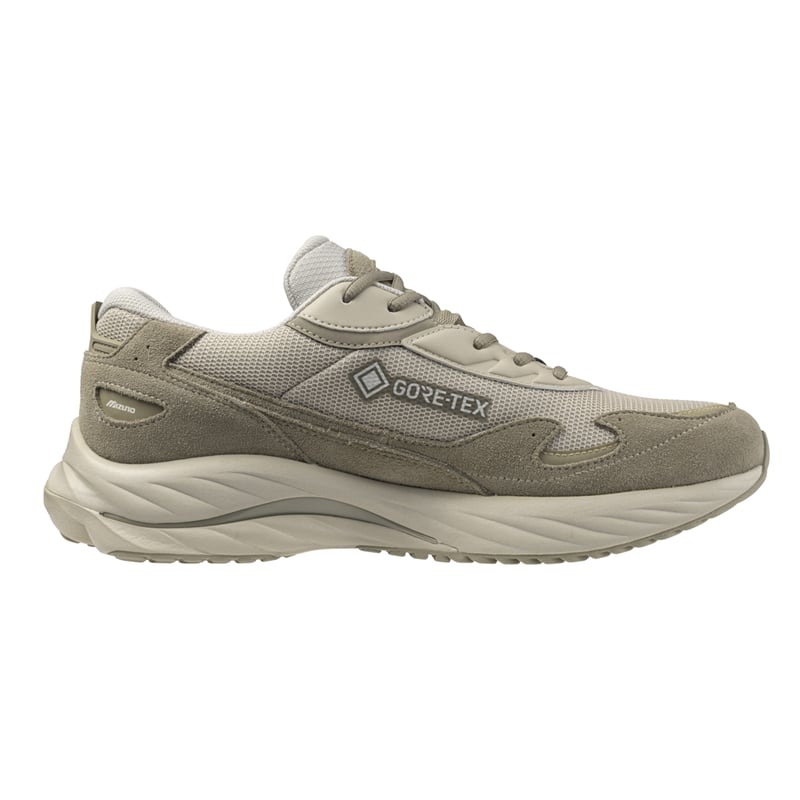 Mizuno Wave Rider Beta GORE-TEX D1GA245201 03