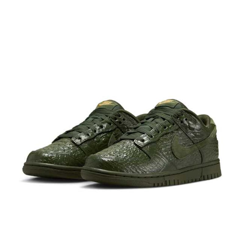 Nike Dunk Low HV4388-300 05