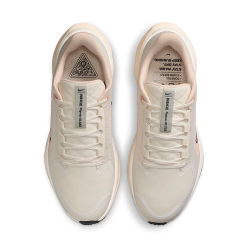 Nike Pegasus 41 GORE-TEX FQ1357-100 04