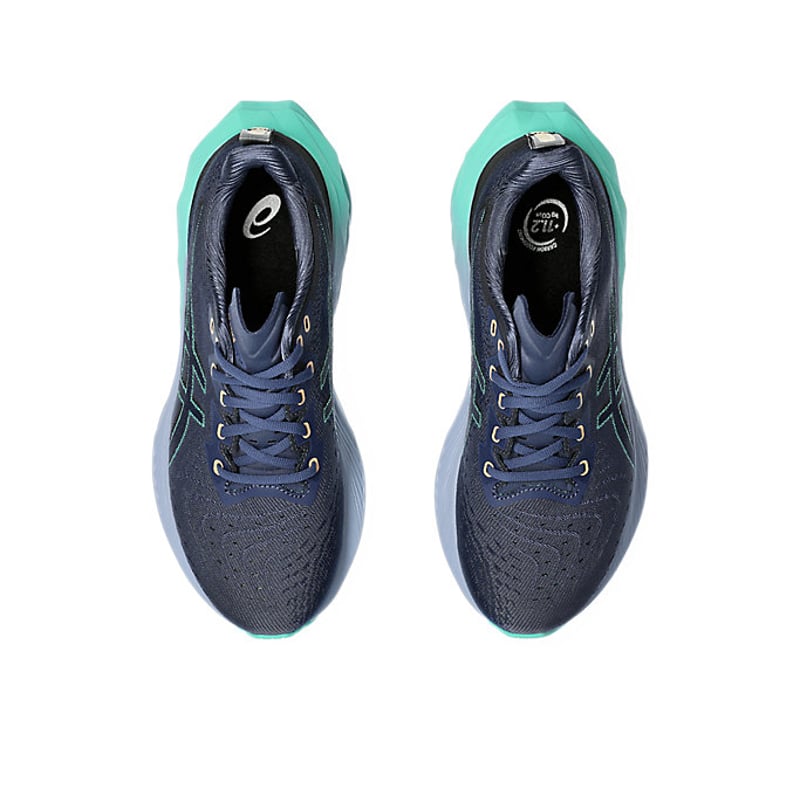 ASICS Novablast 4 1012B510-401 06