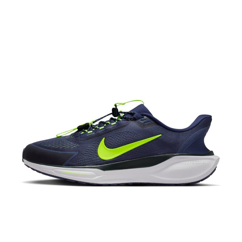 Nike Pegasus EasyOn FQ7837-500 01