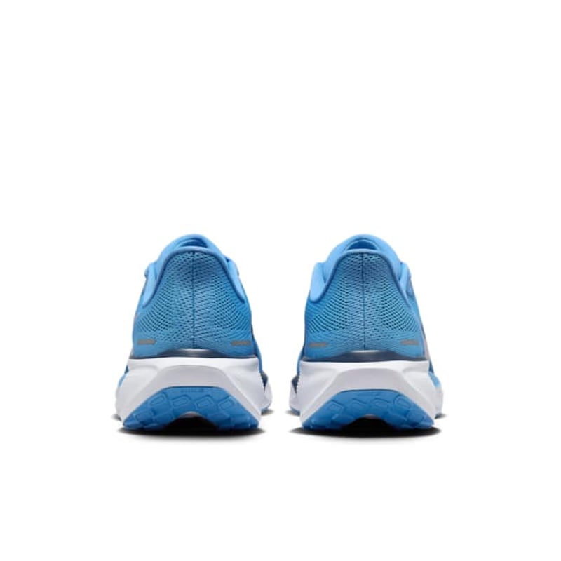Nike Pegasus 41 FZ5149-400 06
