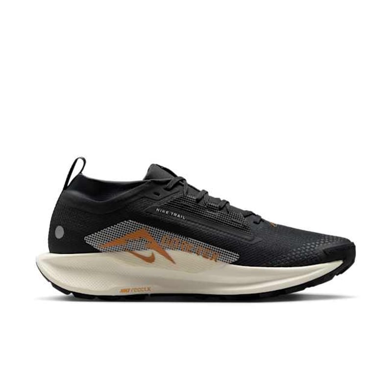 Nike Pegasus Trail 5 GORE-TEX FQ0908-007 03