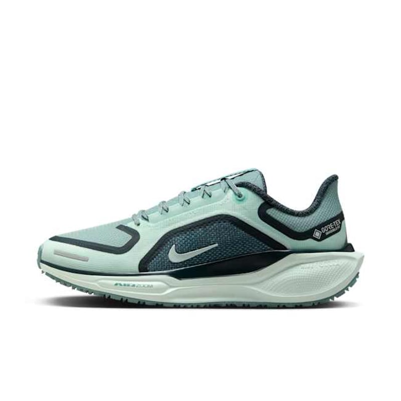 Nike Pegasus 41 GORE-TEX FQ1357-003 01