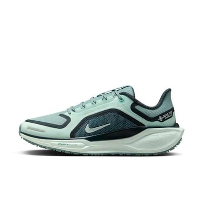 Nike Pegasus 41 GORE-TEX FQ1357-003