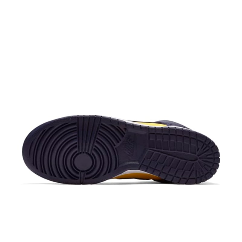 Nike Dunk High QS 850477-700 02