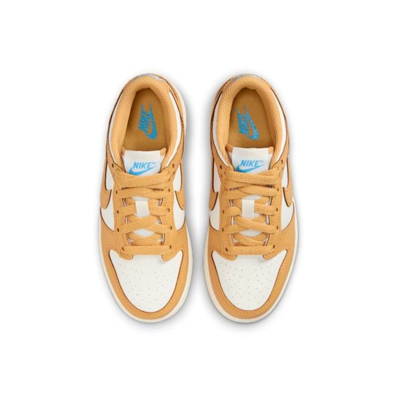 Nike Dunk Low FB9108-700 04