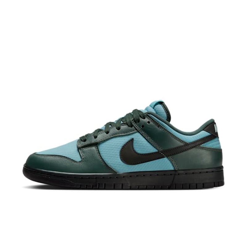 Nike Dunk Low SE FZ3052-300 01