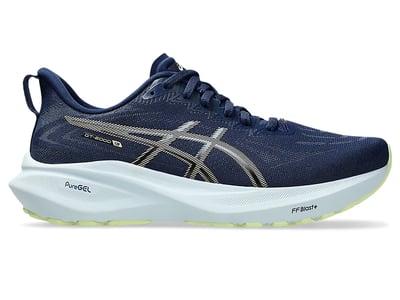 ASICS GT-2000 13 1012B666-400