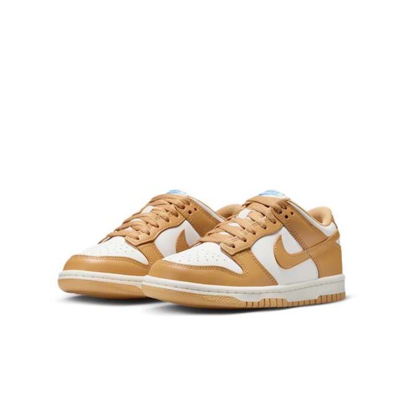 Nike Dunk Low FB9109-700 05
