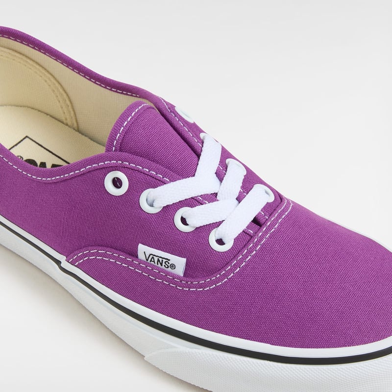 Vans Authentic Color Theory VN000D6GE2T 04