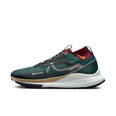 Nike Pegasus Trail 4 GORE-TEX DJ7926-302 01