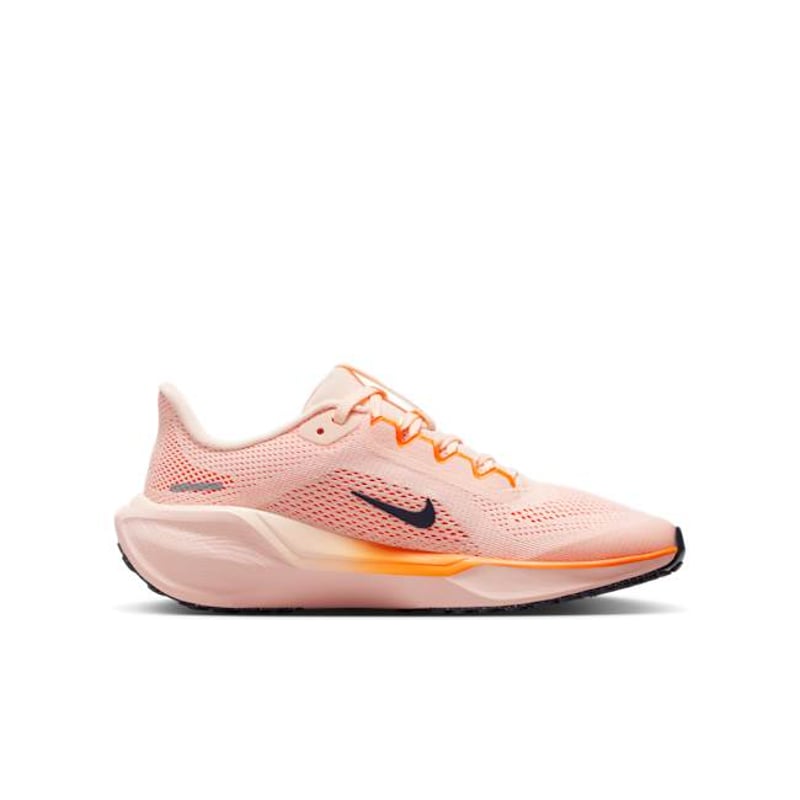 Nike Pegasus 41 FN5041-802 03