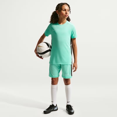 Nike Academy Dri-FIT IF2770-354 01