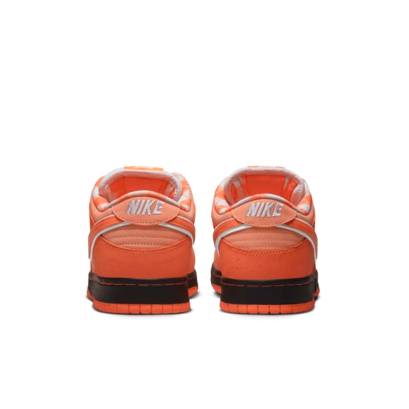 Nike SB Dunk Low x Concepts FD8776-800 06