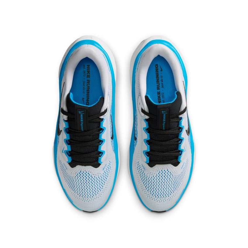 Nike Pegasus 41 FN5041-109 04