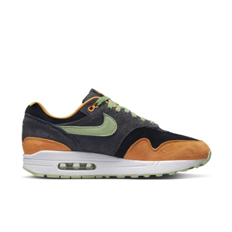 Nike Air Max 1 ‘Ugly Duckling’ DZ0482-001 03