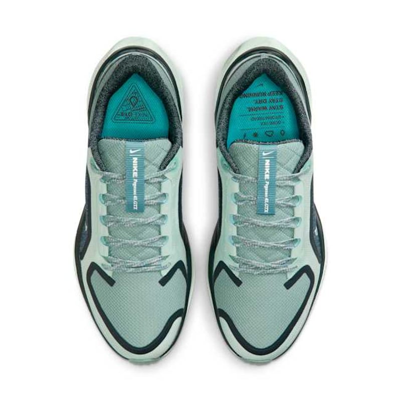 Nike Pegasus 41 GORE-TEX FQ1357-003 04