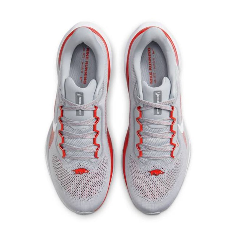 Nike Pegasus 41 FZ5105-001 04
