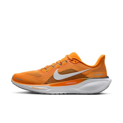 Nike Pegasus 41 FZ5144-800