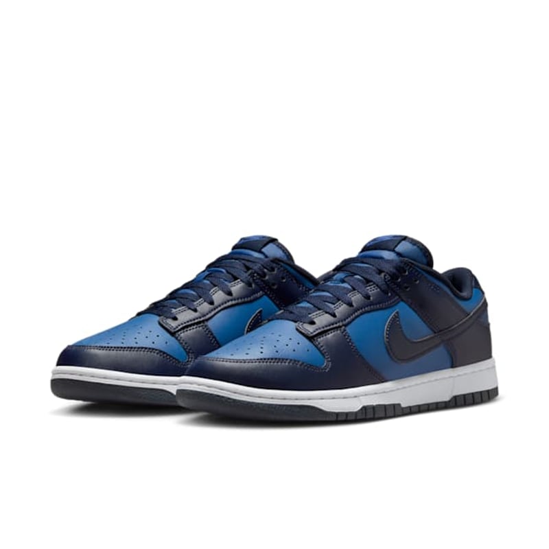 Nike Dunk Low HF5441-402 05