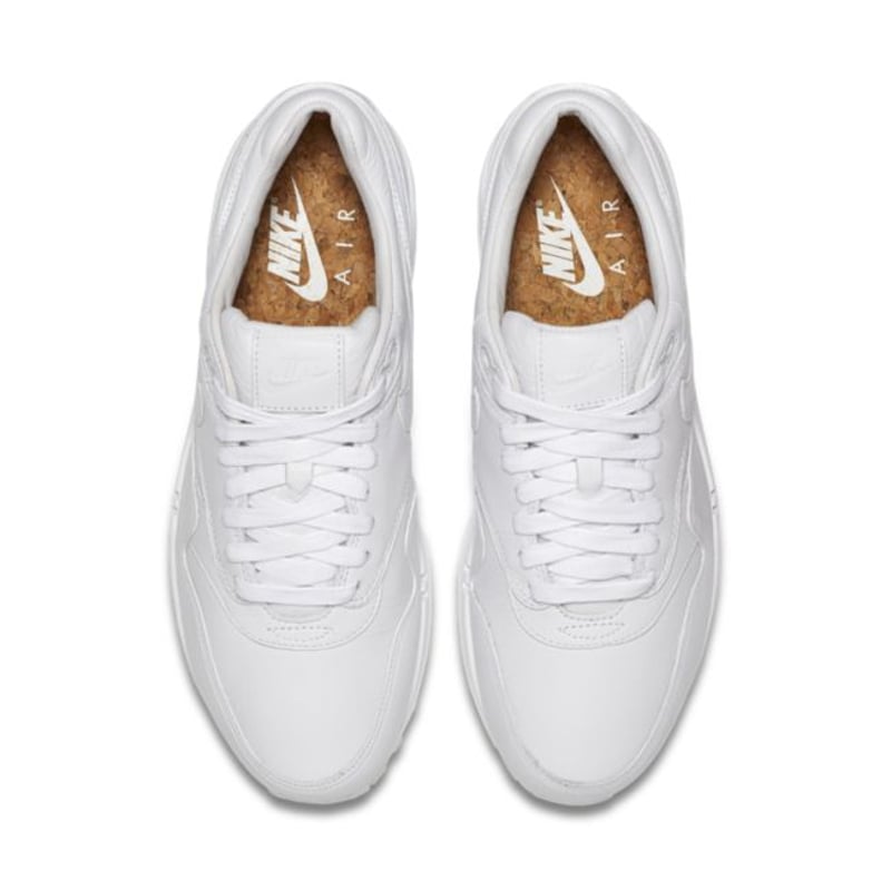 Nike Air Max 1 Pinnacle 859554-100 04