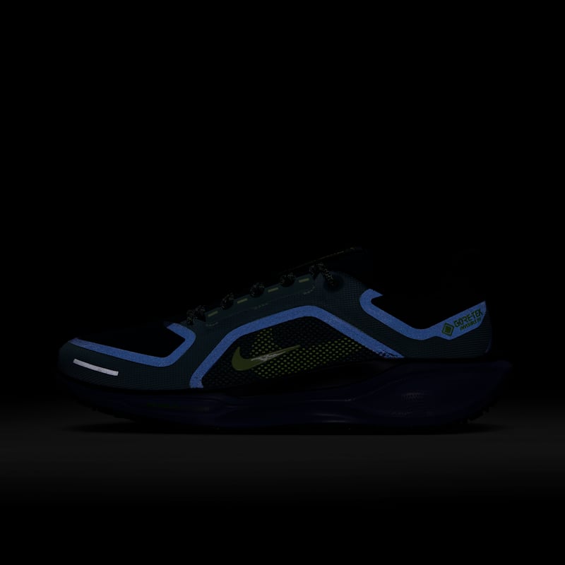 Nike Pegasus 41 GORE-TEX FQ1356-006 09