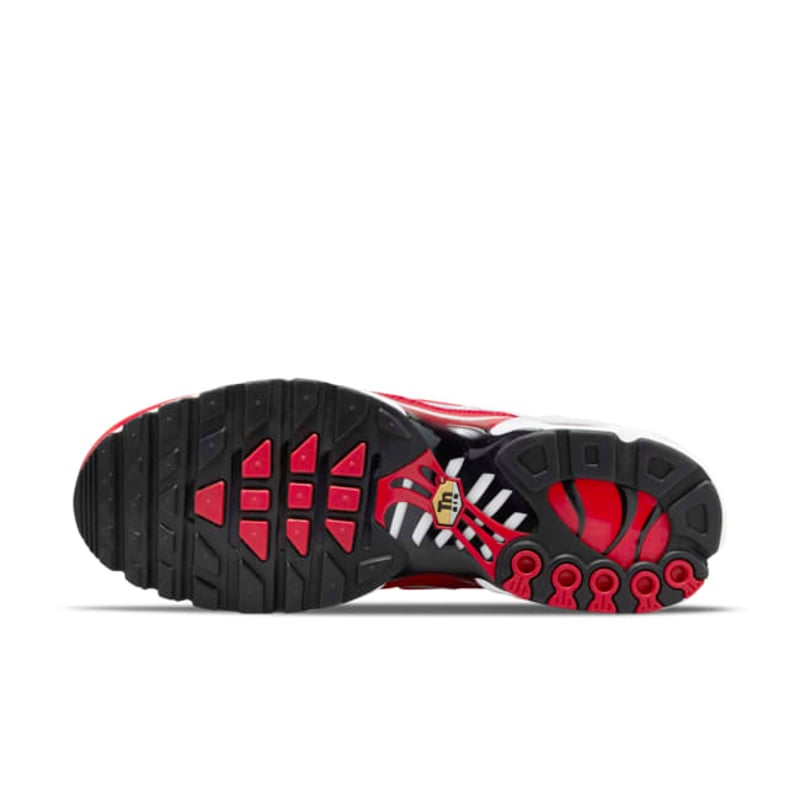 Nike Air Max Plus ‘Air Max 1’ DM8332-100 02